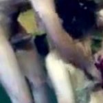 Arab Anal Sex