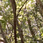Prime Video: Naked and Afraid of Love Season 1