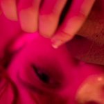 Rachelle Van Waardhuizen / rachelle_v_waardhuizen Nude Leaks OnlyFans - Page 2 image 31