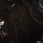 Srishtiroyyyy / srishtiroyyy Nude Leaks OnlyFans image 13