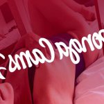 Free Live Sex Cams