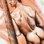 Nude Male Drawings