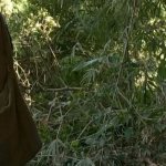 topg naked and afraid s08e98 photos