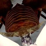bugs: Amateur Anal Fansly Porn