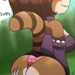 Rule 34