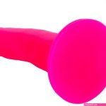 Neo Elite 6 Inch Silicone Dual Density Cock in Pink
