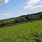 Countryside Air Makes Her Frisky