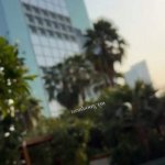 Gloria Sol / gloria__sol / gloriasol Nude Leaks OnlyFans image 16