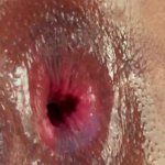 Exotische ebony Aziatische Amerikaanse Evanni Solei Interraciale anale seks