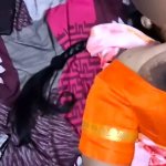 Orange Saree Aunty Porn Videos: Free 720p HD XXX-rated Sex Videos 2025