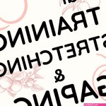 An In-Depth Guide to Anal Training Stretching Gaping