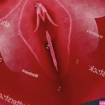 seks poesje vulva clitoris vagina Orgasme Stockfoto 766922689