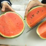 How to Eat a Whole Watermelon and Get Away With it