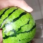 Fucking with a watermelon 1