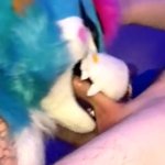FEMALE FURSUIT BLOWJOB
