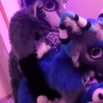 Freaky Furry Copulation and Blowjob In Cute Wolf and Raccoon Costumes