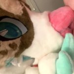 Female Fursuit blowjob