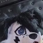 Femboy furry stretches his hole with and cums with a bad dragon rex knot smashing his puppy button
