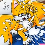 Post 541921: SonictheHedgehogseries Tails Twotails