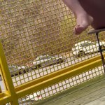 Ebony Goes Wild In PUBLIC VIEW!