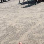 Bianca Similamore / Bianquinha / bianquinha182 / cookiepuss Nude Leaks OnlyFans image 13