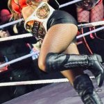 Fallon Henley (WWE) / fallon_wwe Nude Leaks OnlyFans image 10