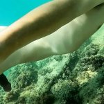 Naked Swimming In The Pool Porn Videos: Gay XXX 2026