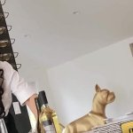 Bartender Alexa Payne Wants To Make A Boring Party A Little More Fun So She Sneaks For A Quick Fuck With Zac