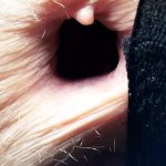 Gratis Xoxo Full HD 1080p pornovideos