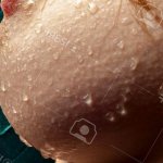 Naked Womans Breast Stock Photo Picture and Royalty Free Image. Image 49609992.