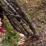 The red-haired forest witch bewitched the traveler and fucked him in all holes in her hut.