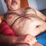 Gratis bulto gordo maduro Gay 720p HD pornivideos 2026