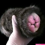Black Cat Pussy Masturbaton Cup Sex Toy for Men