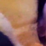 Sex with teddybear Humping plushie until i cum on it Vidéos Porno