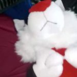 I love fuck this plush little kitty Fun2