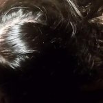 Free Malay BBW Blowjob Porn Videos