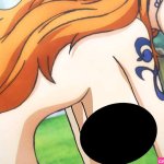 Nami nude filter one piece by mei-long10 on DeviantArt
