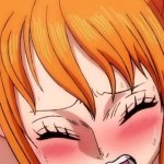 One Piece Nami Nudes