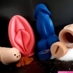 Penis and Vagina Art Salt and Pepper Shaker Set Naughty Tableware Adult Humor Kitchen Decor