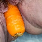 Fucking my vagina with a carrot