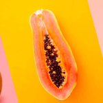 Oral Sex: Everything to Know About Cunnilingus Fellatio Anilingus
