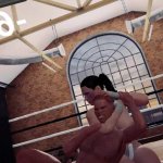 Naked Fighter 3D