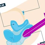 7 Best Anal Dildos Video Demonstration