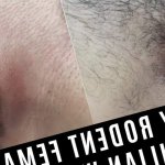 Wiley Rodent Female Brazilian Wax Vol 1