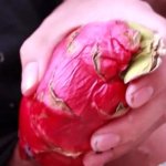 I was so horny I fucked a dragon fruit