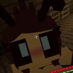 sex the two bees in minecraft jenny mod