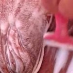 Shower Pussy Shave Close Up.