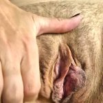 Pussy fisting and pissing with polish wife