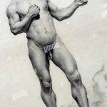 Nu masculino by José Maria de Medeiros is a study of the male nude emphasizing the human form with attention to anatomical precision and artistic expression. The work highlights the tradition of