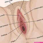 Know Thyself Sex with Catalina